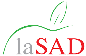 LASAD